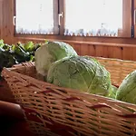 Al Luogo Del Giulio