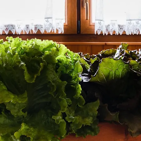 Al Luogo Del Giulio Κατάλυμα σε φάρμα