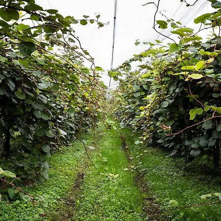 Al Luogo Del Giulio Κατάλυμα σε φάρμα *