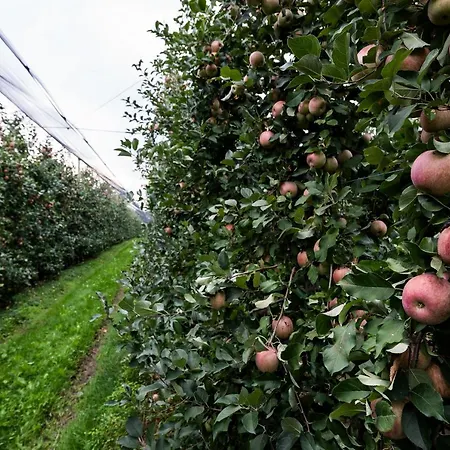 Al Luogo Del Giulio Κατάλυμα σε φάρμα