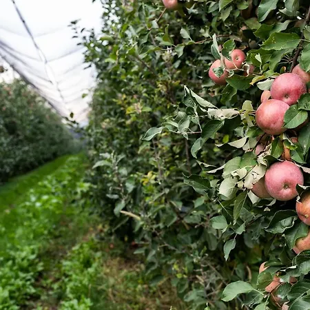 Κατάλυμα σε φάρμα Al Luogo Del Giulio Maniago