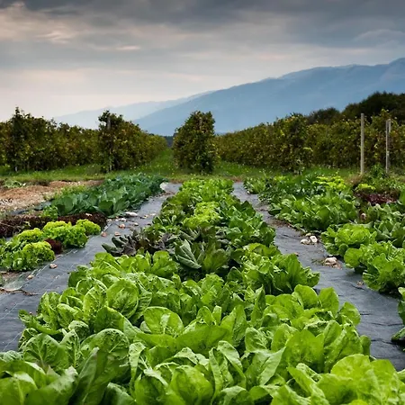 Farm stay Luogo Del Giulio Maniago