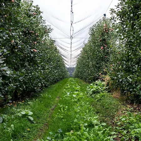 Luogo Del Giulio Farm stay