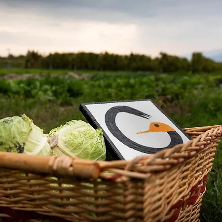 Al Luogo Del Giulio Gospodarstwo agroturystyczne Maniago