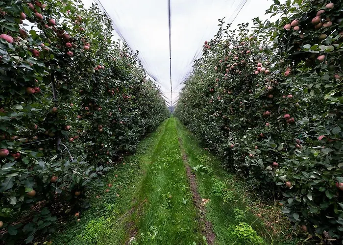 Al Luogo Del Giulio Κατάλυμα σε φάρμα *
