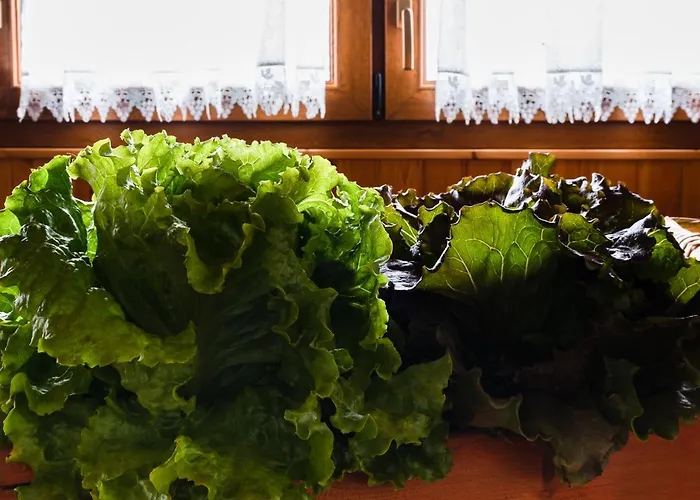 Al Luogo Del Giulio Κατάλυμα σε φάρμα