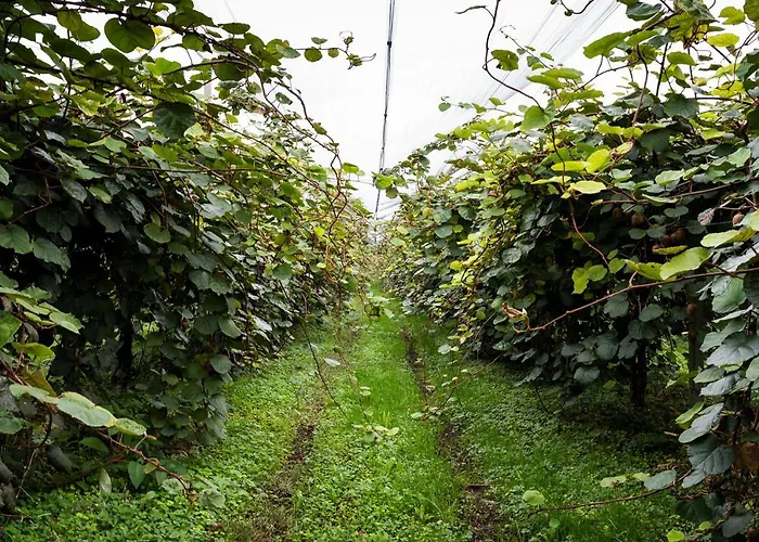 Al Luogo Del Giulio Κατάλυμα σε φάρμα *