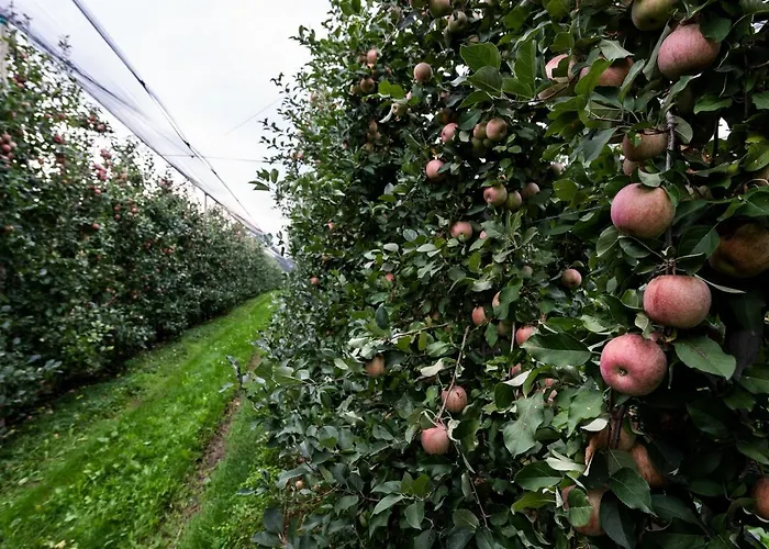 Al Luogo Del Giulio Κατάλυμα σε φάρμα