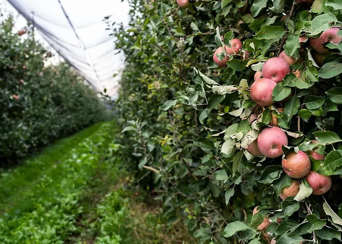 Κατάλυμα σε φάρμα Al Luogo Del Giulio Maniago