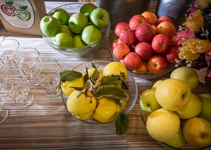 Κατάλυμα σε φάρμα Al Luogo Del Giulio *