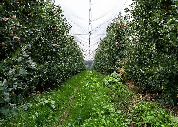 Al Luogo Del Giulio Κατάλυμα σε φάρμα