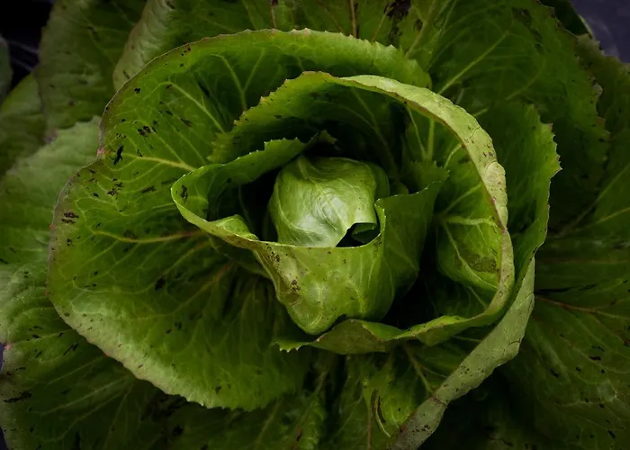 Al Luogo Del Giulio Κατάλυμα σε φάρμα