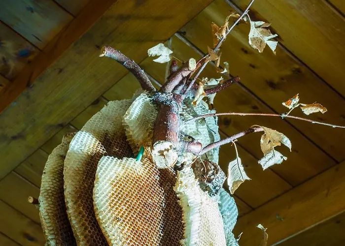 Al Luogo Del Giulio Maniago