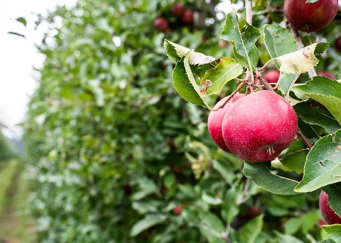 Al Luogo Del Giulio Κατάλυμα σε φάρμα