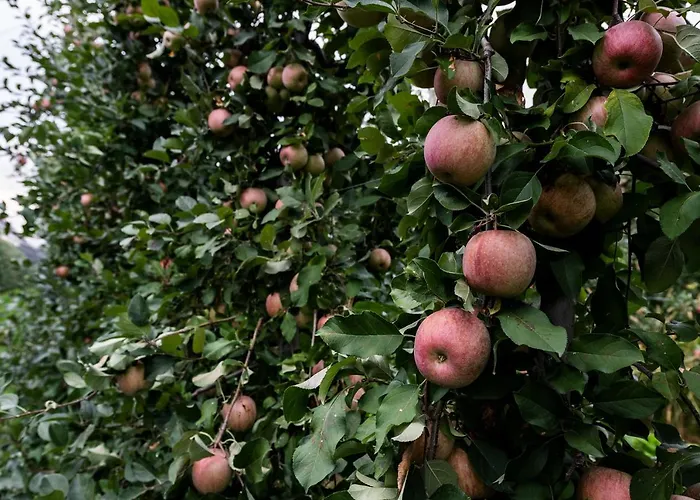 Κατάλυμα σε φάρμα Al Luogo Del Giulio