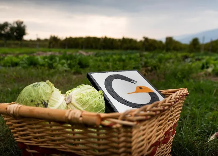 Al Luogo Del Giulio Κατάλυμα σε φάρμα Maniago